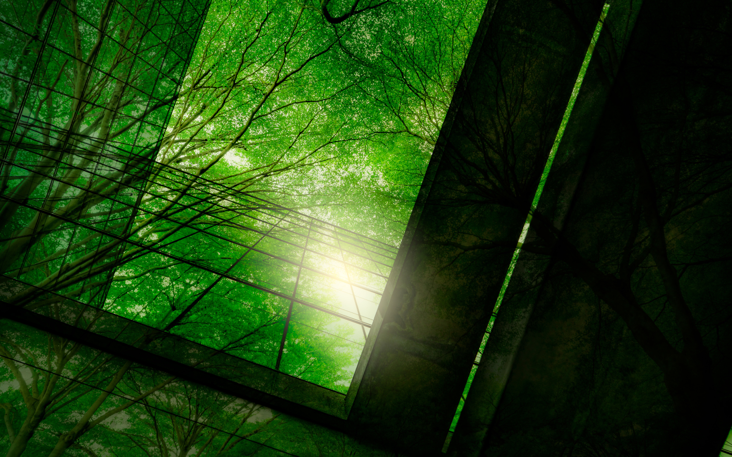 Warto znać pojęcia dotyczące zrównoważonego rozwoju.